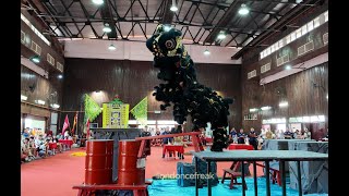 雪隆鸿威南北龙狮团 Hong Wei Dragon \u0026 Lion Dance Team - 2024 Serdang Cup