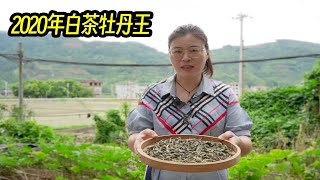 阿梅收了批2020年的牡丹王，可以边囤边喝的白茶，好喝价也不高