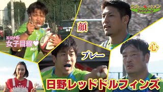 tvk（テレビ神奈川）　ラグビー　イケメン　ファンゾーン#2　「日野レッドドルフィンズ」