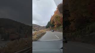 紅葉の山道をドライブ 富山から飛騨高山