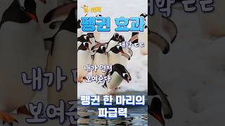 한명이 움직이면 다 따라하는 이유? 🐧