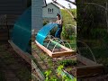 create your own garden greenhouse on a budget