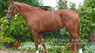 Top Dressage Auction -  MIRINDA '2017, KWPN, chestnut mare