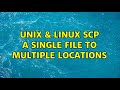 Unix & Linux: scp a single file to multiple locations (7 Solutions!!)
