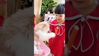 น้องเหมียวใจร้ายแย่งลูกชิ้นของพี่เจเค!! #แมว #funny #คลิปตลก #shorts