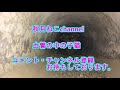 土管の中の子猫　子猫とお風呂　kitten in the earthen pipe. kitten and bath