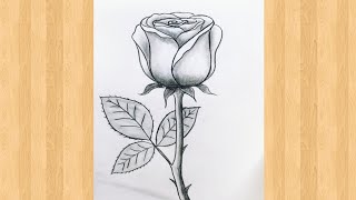 ROSE Drawing Easy 🌹| How to Draw a Rose step by step || Rose Drawing || #rosedrawing