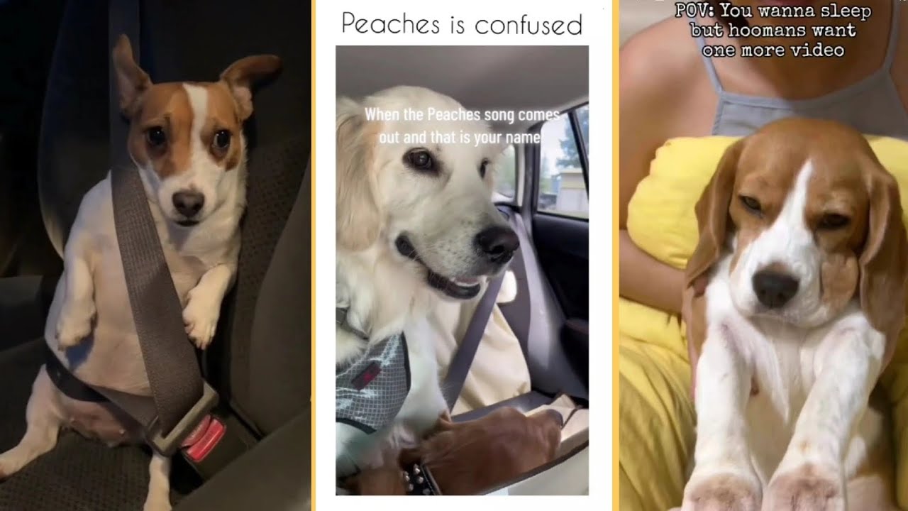 ёэрзёэрюёэрлёэрю ёэръёэрлёэрю ёэрмёэриёэржёэрю ёэряёэроёэрзёэрзёэр ёэрэёэриёэраёэрм ёэряёэриёэрл ёэр