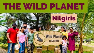 Wild Planet || Luxury Jungle Resort || Nilgiris || Devala || Hotel Review#wildplanet#staycation#