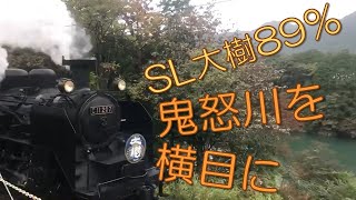 【SL大樹100％】89％　鬼怒川を横にSL大樹！！！