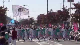 リゾンなるこ会飛鳥＠2014　つるせよさこい祭り