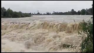 Haripirala village Pedda cheruvu alugu