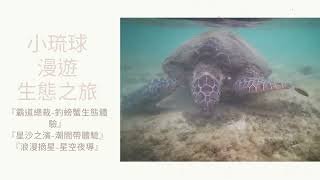 小琉球導覽解說.潮間帶解說.水中婚紗．釣螃蟹