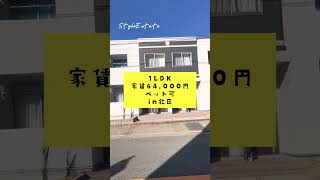 【ショート動画】尼ケ坂駅徒歩7分1LDK #Shorts