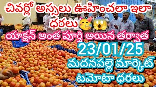 23-01-25 Madanapalle Tomato Market price Today || Today Tomato Market Rate in Madanapalle #today