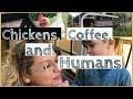 Chickens, Coffee, and Humans! Chickenlandia Stories