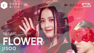 【跟著素人練長笛】第150天 韓團最火舞曲Jisoo Flower