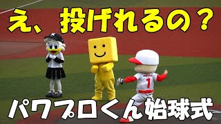 パワプロくん剛速球すぎる始球式（2024.9.1）