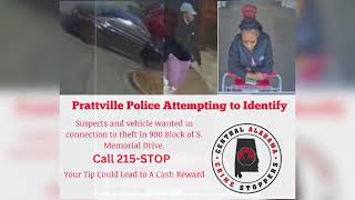 Prattville Theft Suspects March 3, 2025.