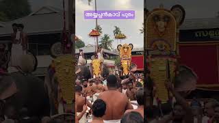 Thumbur Ayyappankavu pooram / Ayyappankavu pooram