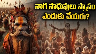 నాగసాధువులు స్నానం ఎందుకు చేయరు? | Why Don't Naga Sadhus Take Bath?| Lifenow