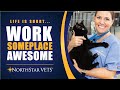 NorthStar VETS: Where You Choose to Work Matters