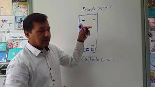 Hemoglobin Electrophoresis Short Video