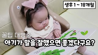 (SUB) Language Stimulation Method of Teacher Mom 1(Birth~18 months old)