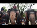 അനന്തന് ...ഭക്ഷണം കൊടുത്തതാ ii uttoly anandan elephant