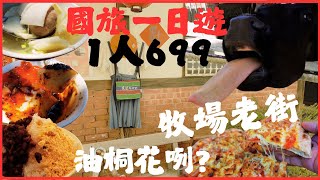國旅一日遊 699帶你看油桐花 逛西螺老街 菁寮老街 遊千巧谷牧場 像進香團? 西螺碗粿好吃到瘋掉 千巧谷牛牛豪可愛/travel/Yunlin/Tainan/food/pasture/台湾グルメ