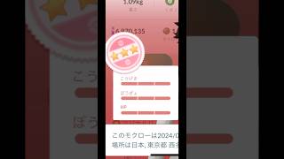 【ポケモンGO】モクローコミュニティデイ野生湧き高個体に出会う#shorts