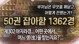 잡아함경... 1749회, 제302 아지라경... 어떤 곳에서 어느 생(生)을 받는지요?...