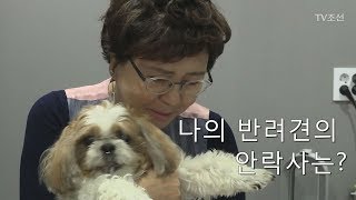 [선공개]김형자, 18살 반려견 똘똘이와의 이별 준비 [마이웨이] 104회 20180705