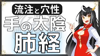 【経絡経穴】９分で分かる手の太陰肺経の流注と穴性【東洋医学】