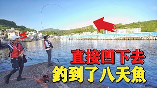 【港口磯釣】終於釣到了八天魚！！釣起來的瞬間感動到只差沒流淚！