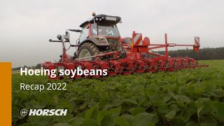 HORSCH - Hoeing soybeans