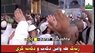 ژنه ك  طه وافي دكه ت  و كه ته كرى