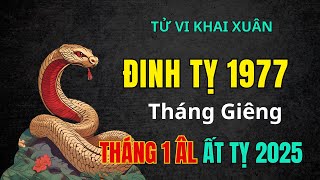 Tử Vi Tuổi Đinh Tỵ 1977. Ơn Trên Ban phúc, Đón lộc Đầu năm. Tháng Giêng Năm Ất Tỵ 2025, Tháng 1 Âm