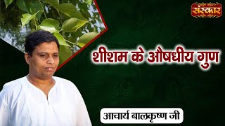 Medicinal properties of rosewood. Benefits of Rosewood | Acharya Balkrishna Ji's prescriptions. Sanskar TV