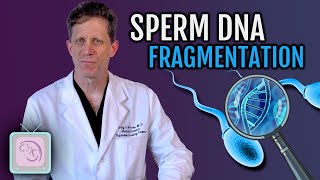Sperm DNA Fragmentation Test -- Should you get it before IVF?