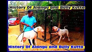 History and origin of Tamilnadu Alangu Dog and Bully Kutta |அலங்கு நாய்