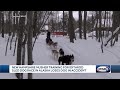 New Hampshire musher training for Iditarod Sled Dog Race in Alaska loses dog in accident