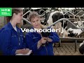 Veehouderij - hbo-opleiding HAS green academy