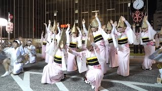 小金井阿波おどり 紅連 北口駅前ロータリー会場 組踊り 2014