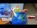 Molly Fish Breeding Tank Setup 🔥😍|Breeding Tutorial Part-1|Nikhil Patle #petsvlog #vlogs #mollyfish