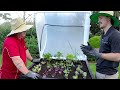 stratco how to assemble and plant a vegepod garden bed