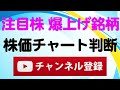 【医療dx 3銘柄】エムスリー メドレー ケアネットの株価予想と投資の可能性を分かりやすく解説します｜爆上げor暴落 明暗を分かつ医療dx3銘柄 株価チャートを見ながら最適な売買タイミングを図解