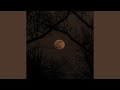 Silent Harmony