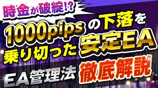 【時金破綻⁉】1000pips下落を耐えた安定EAのリアルチャートを徹底考察！ツール利用者さんのEA管理方法をシェアします（FX自動売買検証）