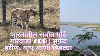 भारतातील सर्वात मोठे गोरेवाडा ZOO | सफ़ेद हरीण, वाघ आणी बिबट्या | GOREWADA INTERNATIONAL ZOO NAGPUR